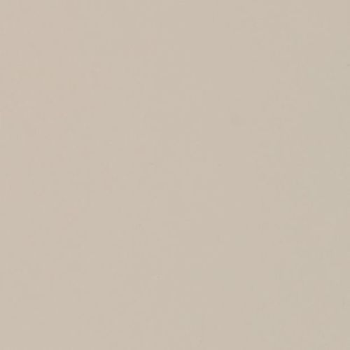 Beige painted wall (smooth, matte) occupying the entire frame, evenly lit and showing slight subtle speckling; close-up view with neutral indoor lighting, minimalistic and featureless.