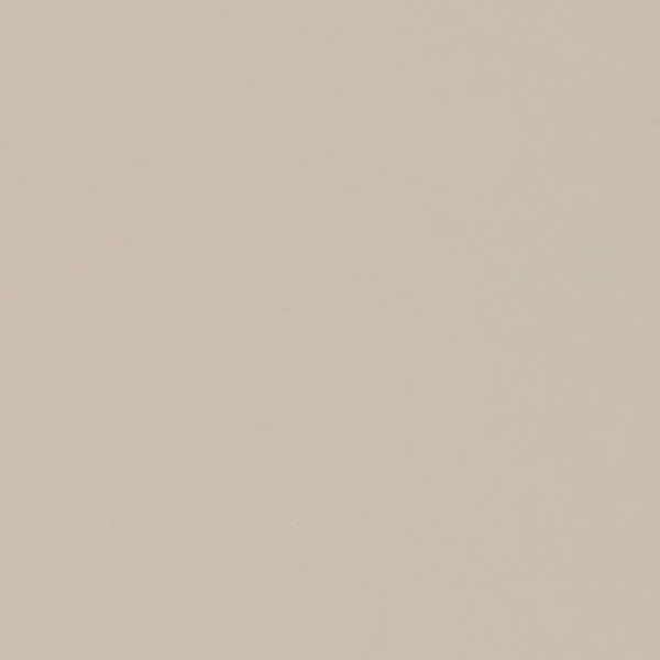 Beige painted wall (smooth, matte) occupying the entire frame, evenly lit and showing slight subtle speckling; close-up view with neutral indoor lighting, minimalistic and featureless.