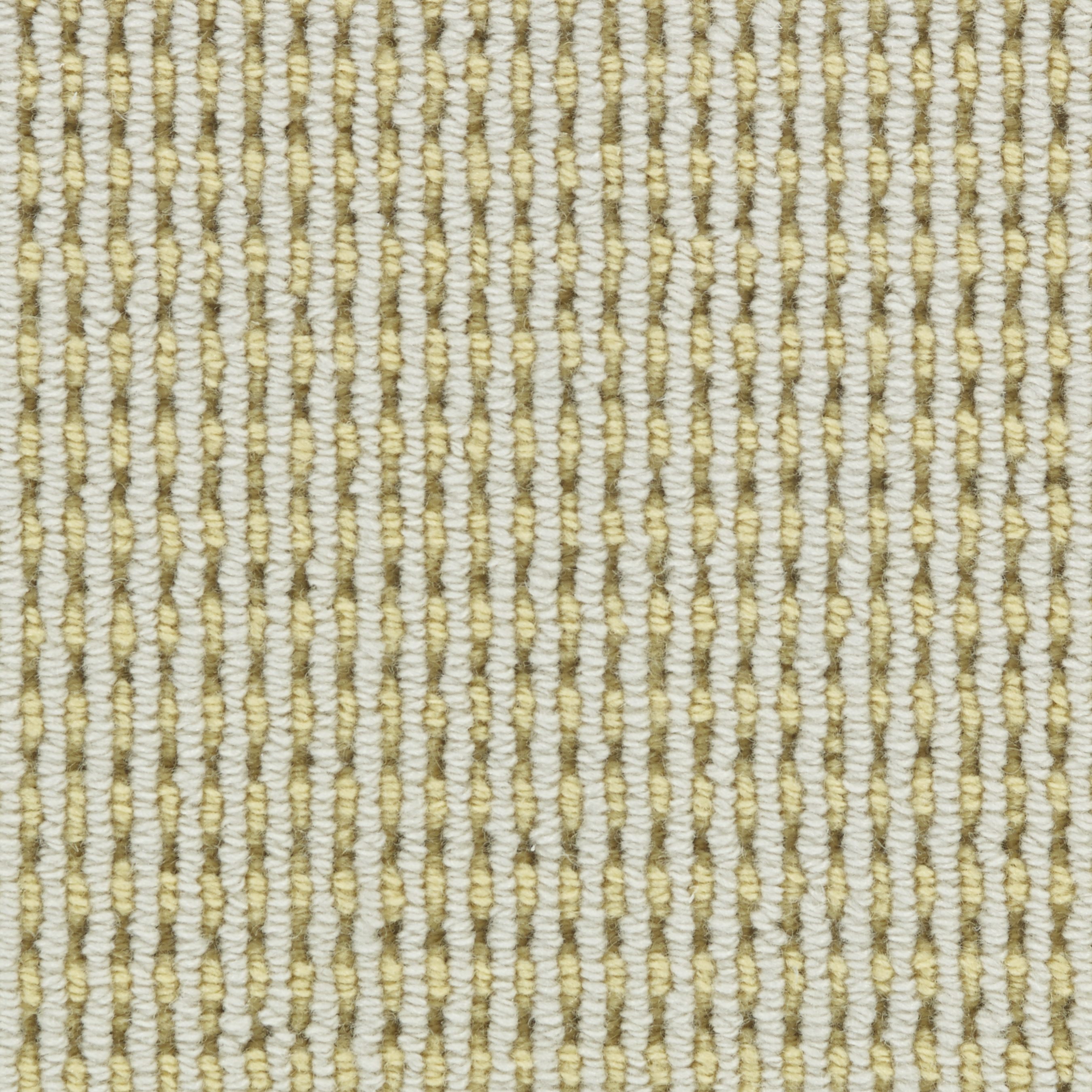 color-rug1