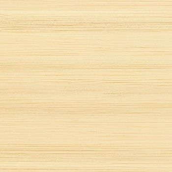 Light-colored wooden paneling displaying subtle horizontal grain and fine texture, covering a flat, evenly lit surface in pale cream-beige tones, forming a neutral background.