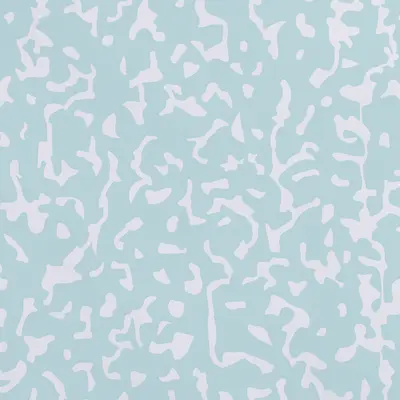 Fadeless Schoolgirl Style Bulletin Board Paper, Sophomore Year, 47.25" x 25', 1 Roll