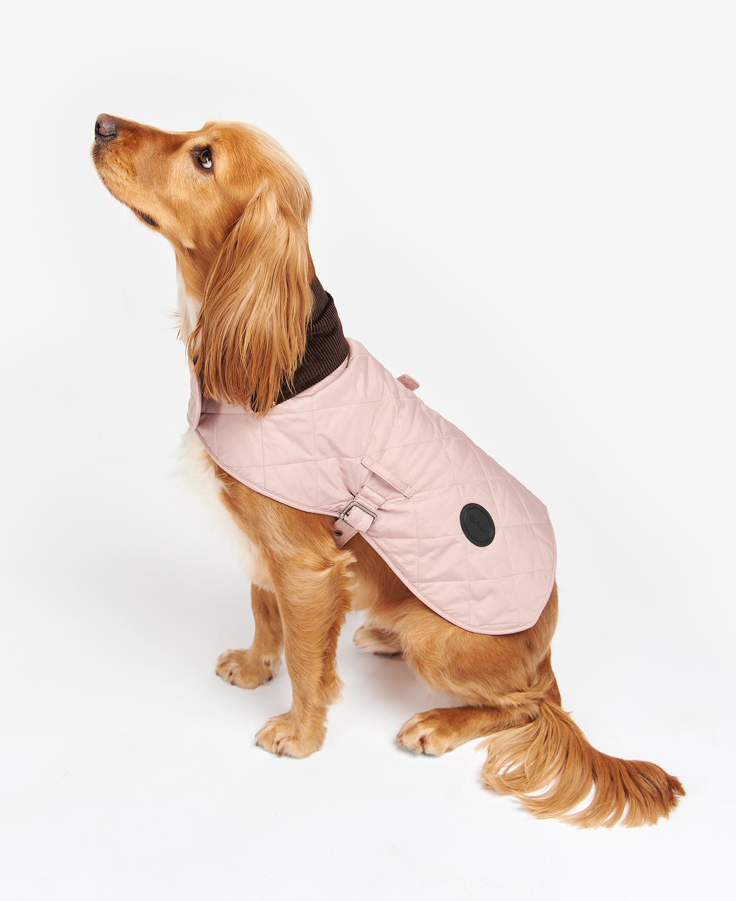 Quilted Dog Coat image number 1