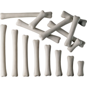 Dinosaur Bones Match & Measure Set