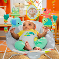 Bright Starts Playful Paradise Vibrating Baby Bouncer, Unisex, Newborn ...