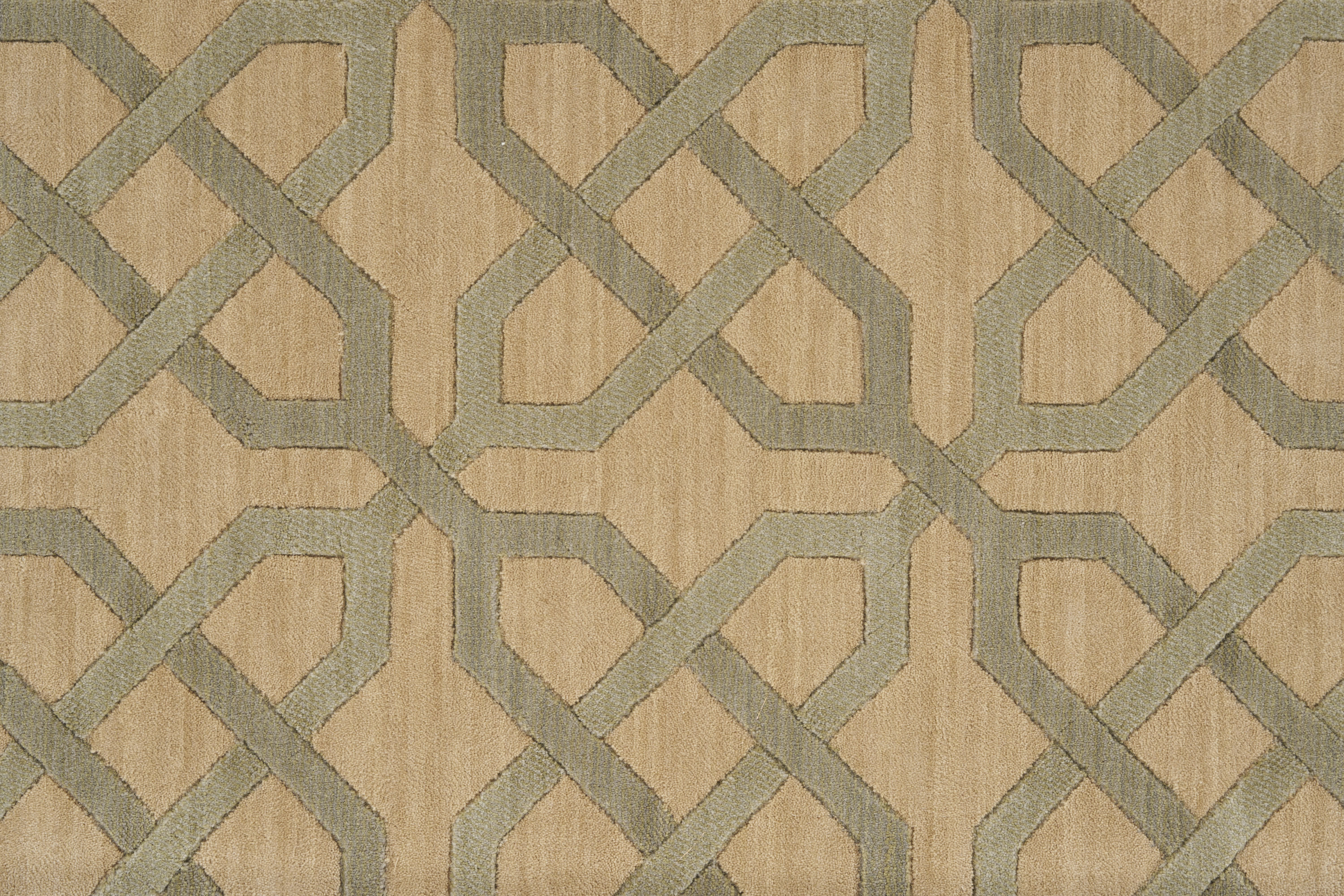 color-rug1