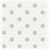 Studio Dove Gray 1″ Hexagon with Insert Mosaic Matte