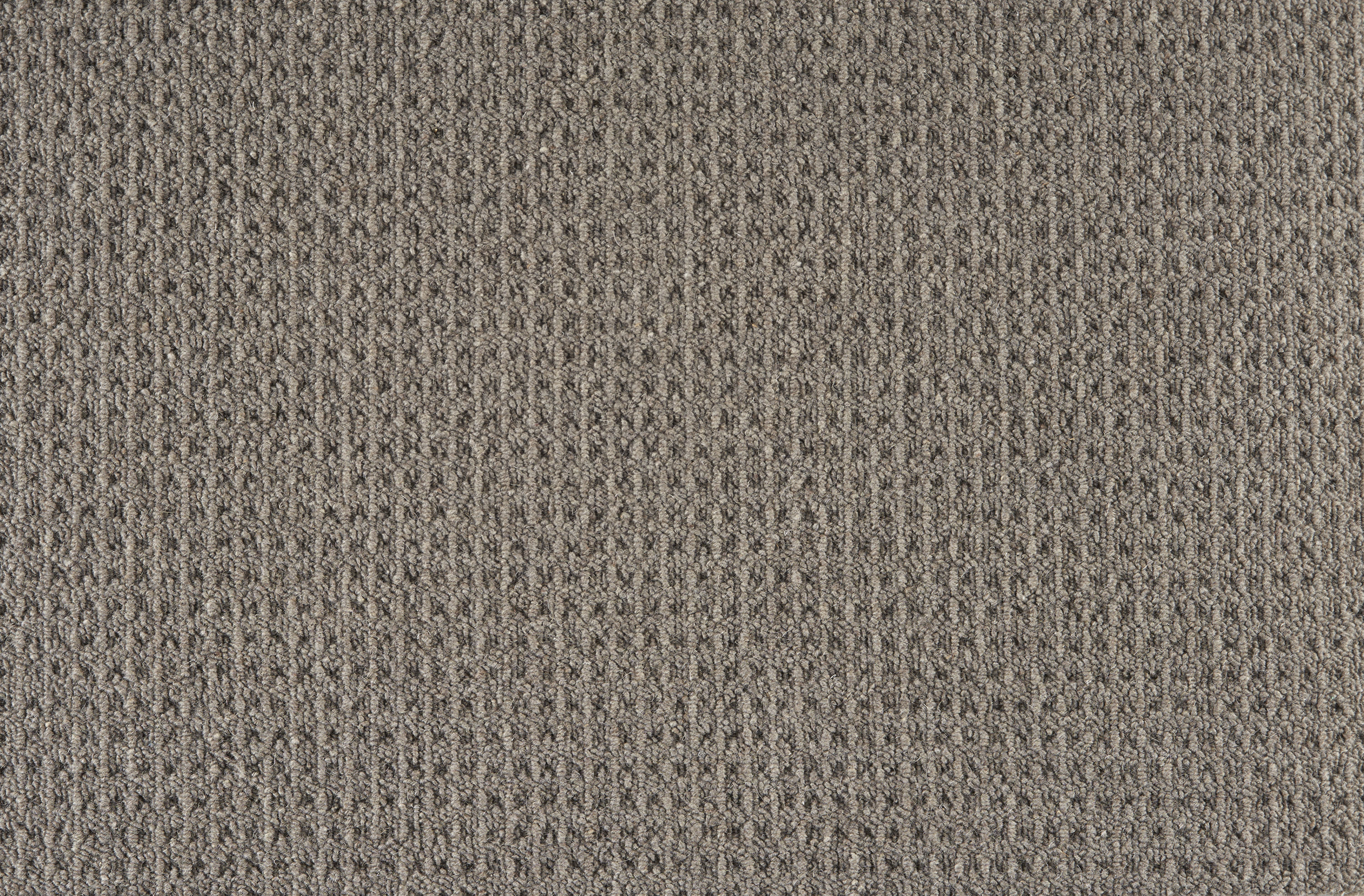 color-rug1