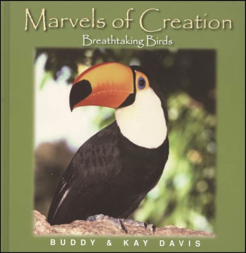 Breathtaking Birds