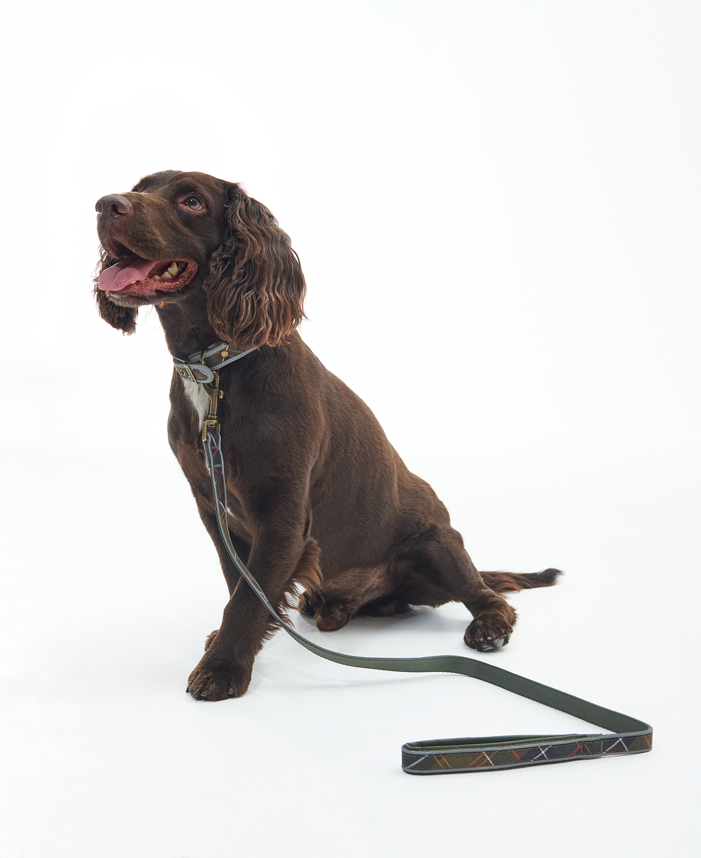 Reflective Tartan Comfort Dog Lead image number 0