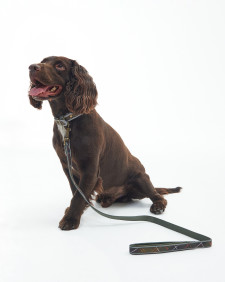 Reflective Tartan Comfort Dog Lead Classic Tartan