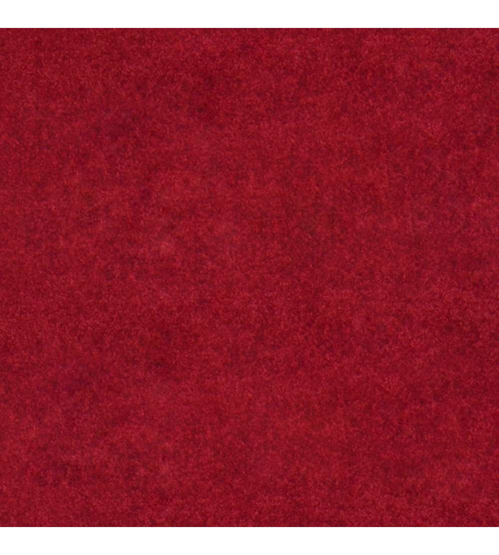 s--YiPafl7---/xq2ux8vmoylpmrklv6mt.jpg