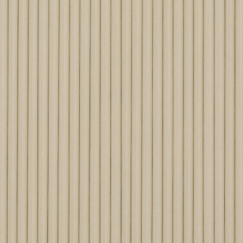 Light Seal Beige Blind Screen 02