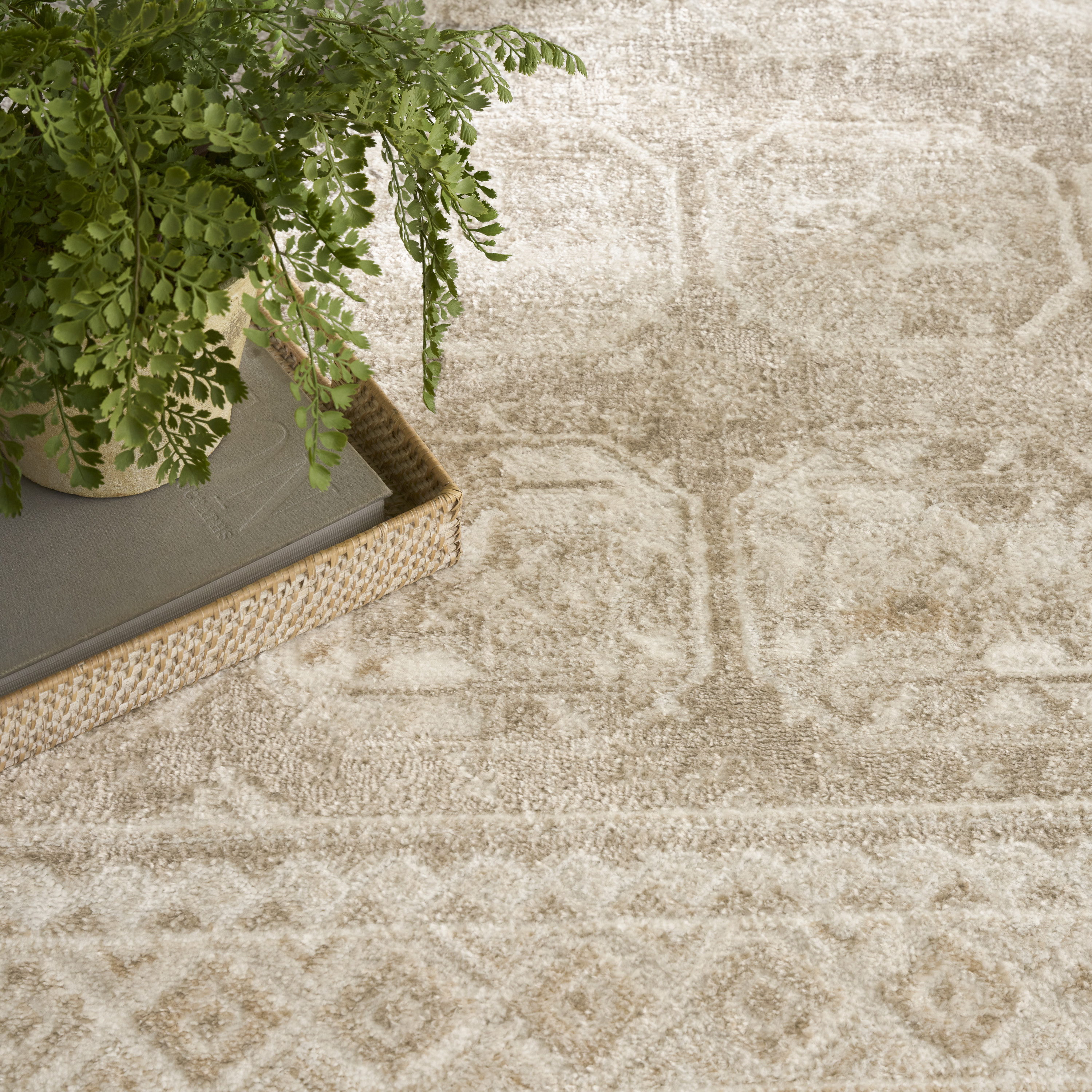 Nourison Dekor 4' x 6' Cream Beige Vintage Indoor Rug