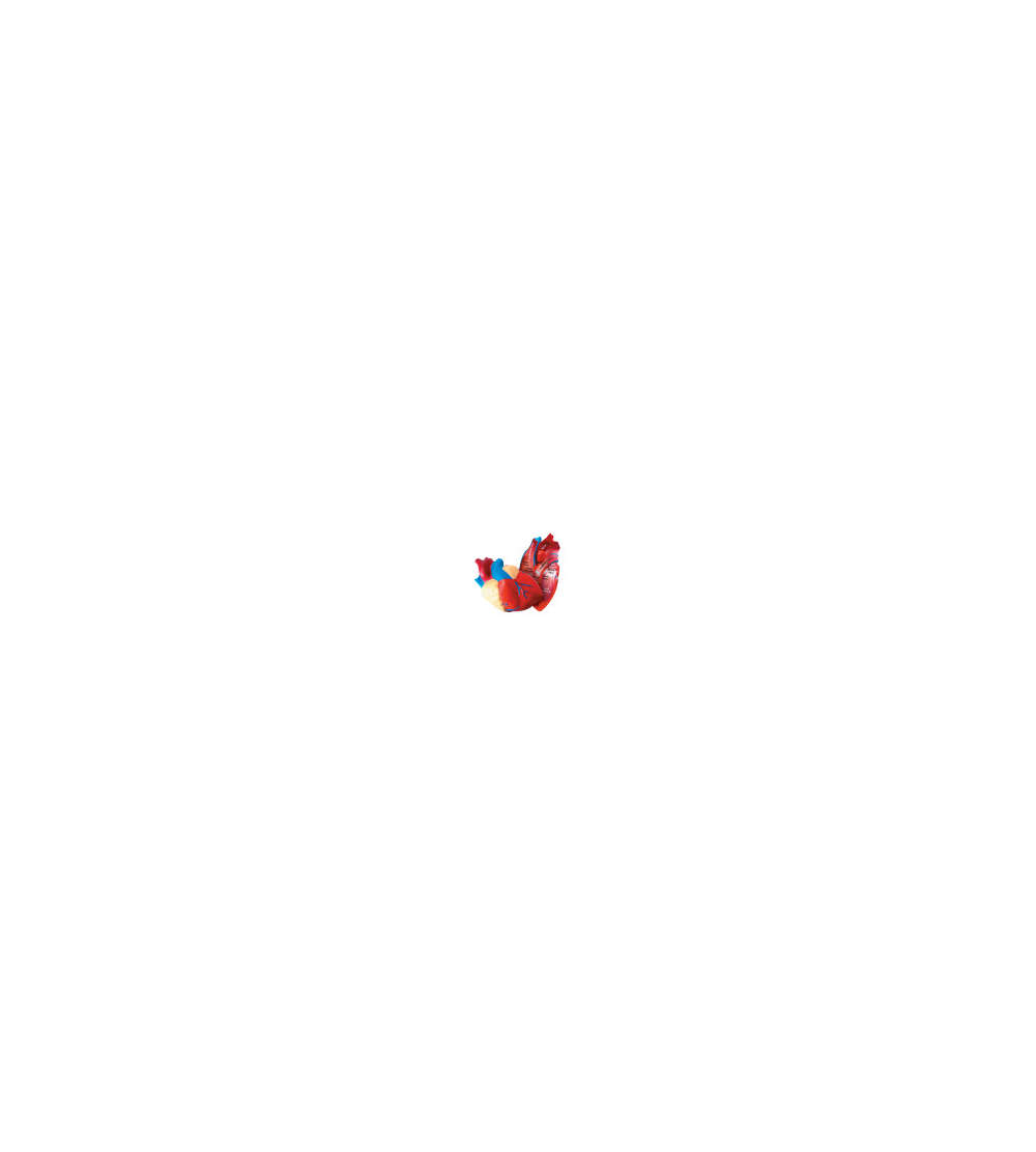 s--YuZkOfA_--/vdm9q11pkuhwcun1biht.jpg