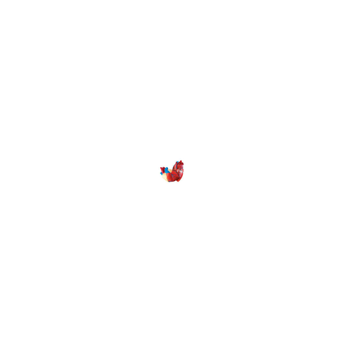 s--YuZkOfA_--/vdm9q11pkuhwcun1biht.jpg