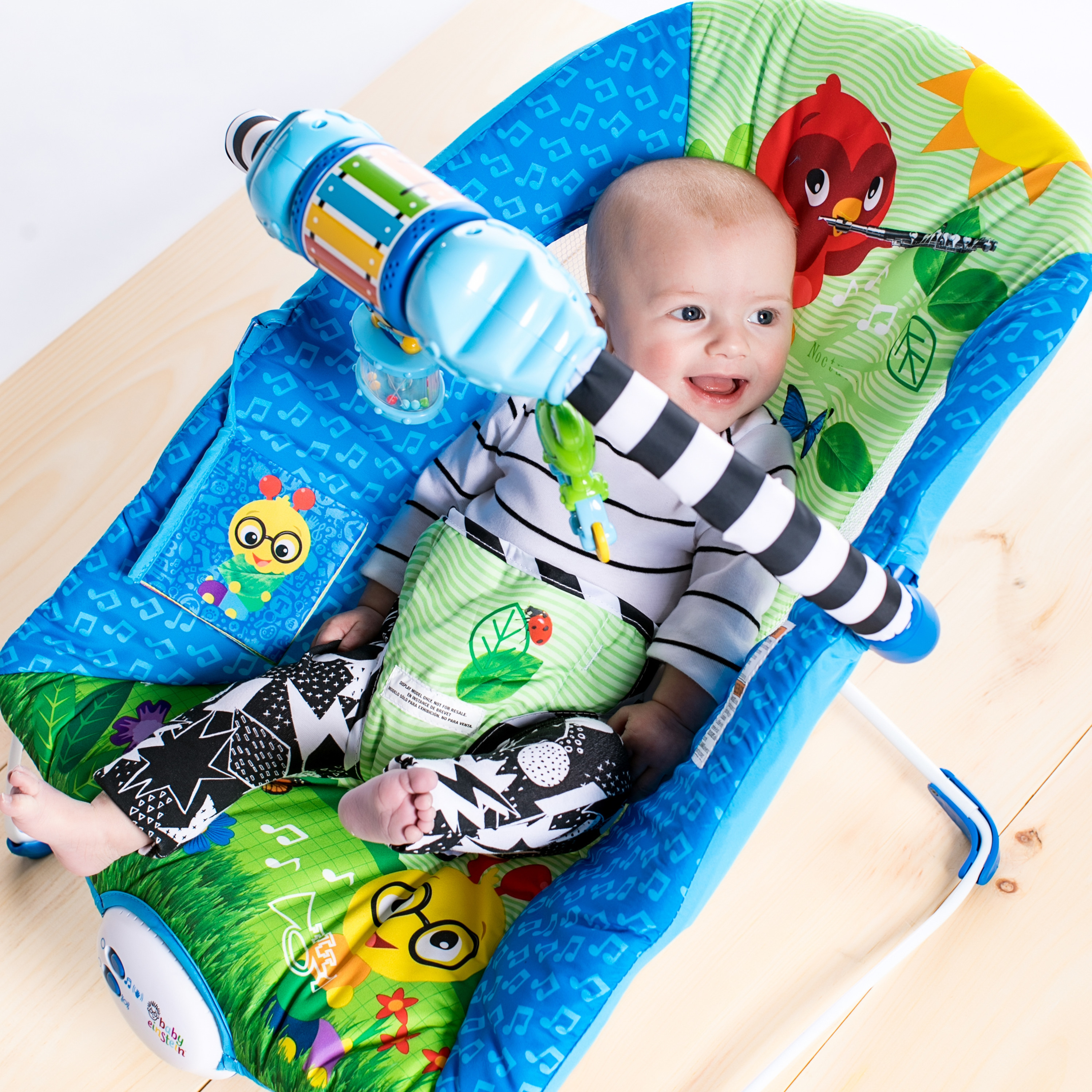 Neighborhood Symphony Bouncer™ Baby Einstein Kids2