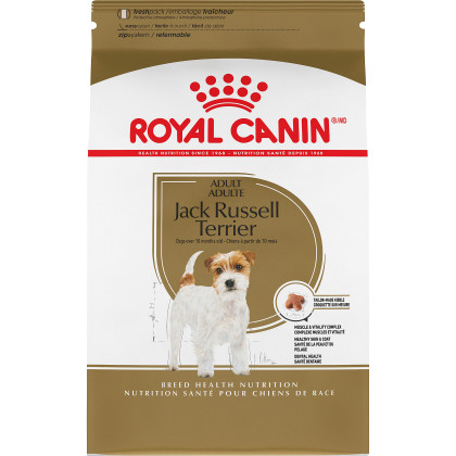 Royal Canin Breed Health Nutrition Jack Russell Terrier Adult Dry Dog Food