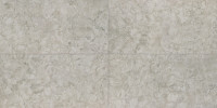 Forgehaus Chroma 24×48 Field Tile Rectified