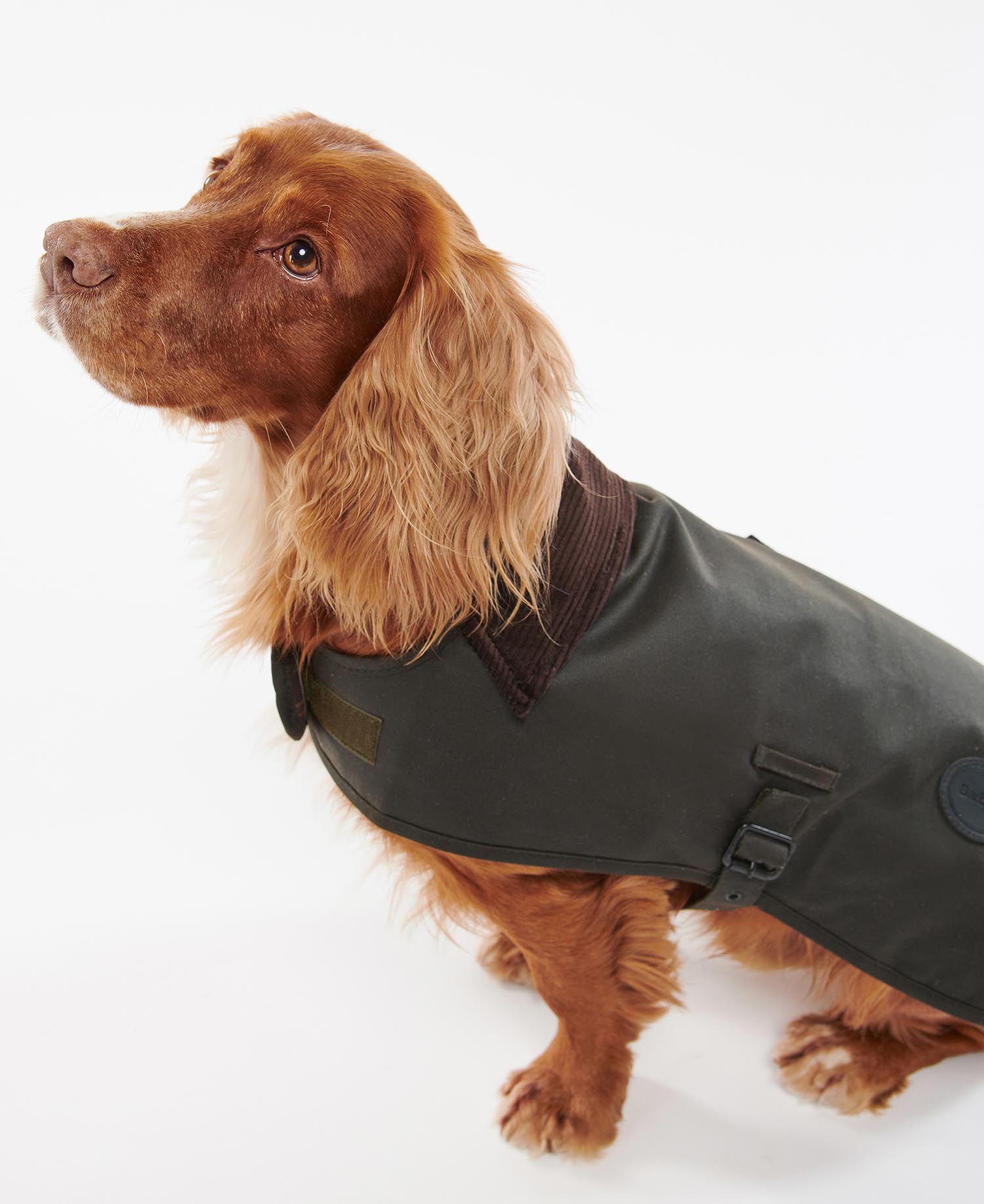 Hundemantel Wachs image number 0