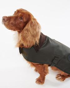 Hundemantel Wachs 
