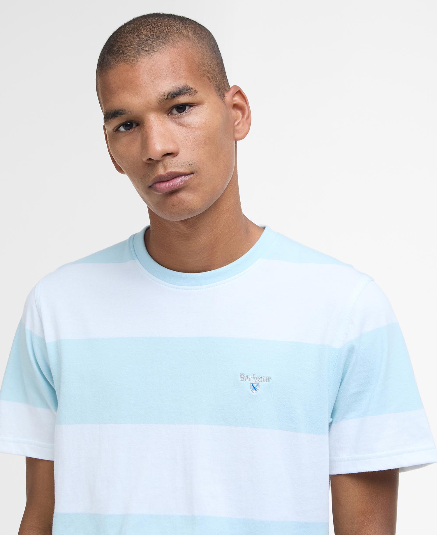 Whalton Striped T-Shirt image number 3