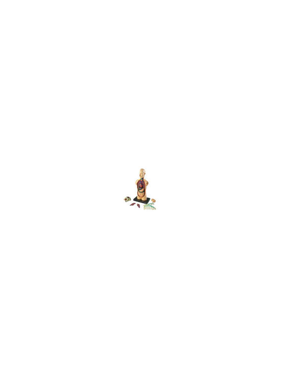 s--Z8nlw82B--/sv3vbectffkkpzpnxvzr.jpg