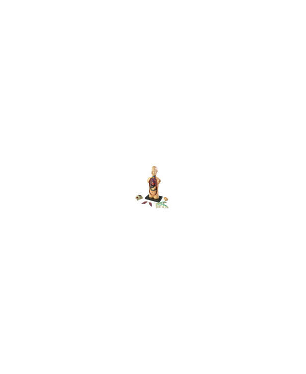 s--Z8nlw82B--/sv3vbectffkkpzpnxvzr.jpg