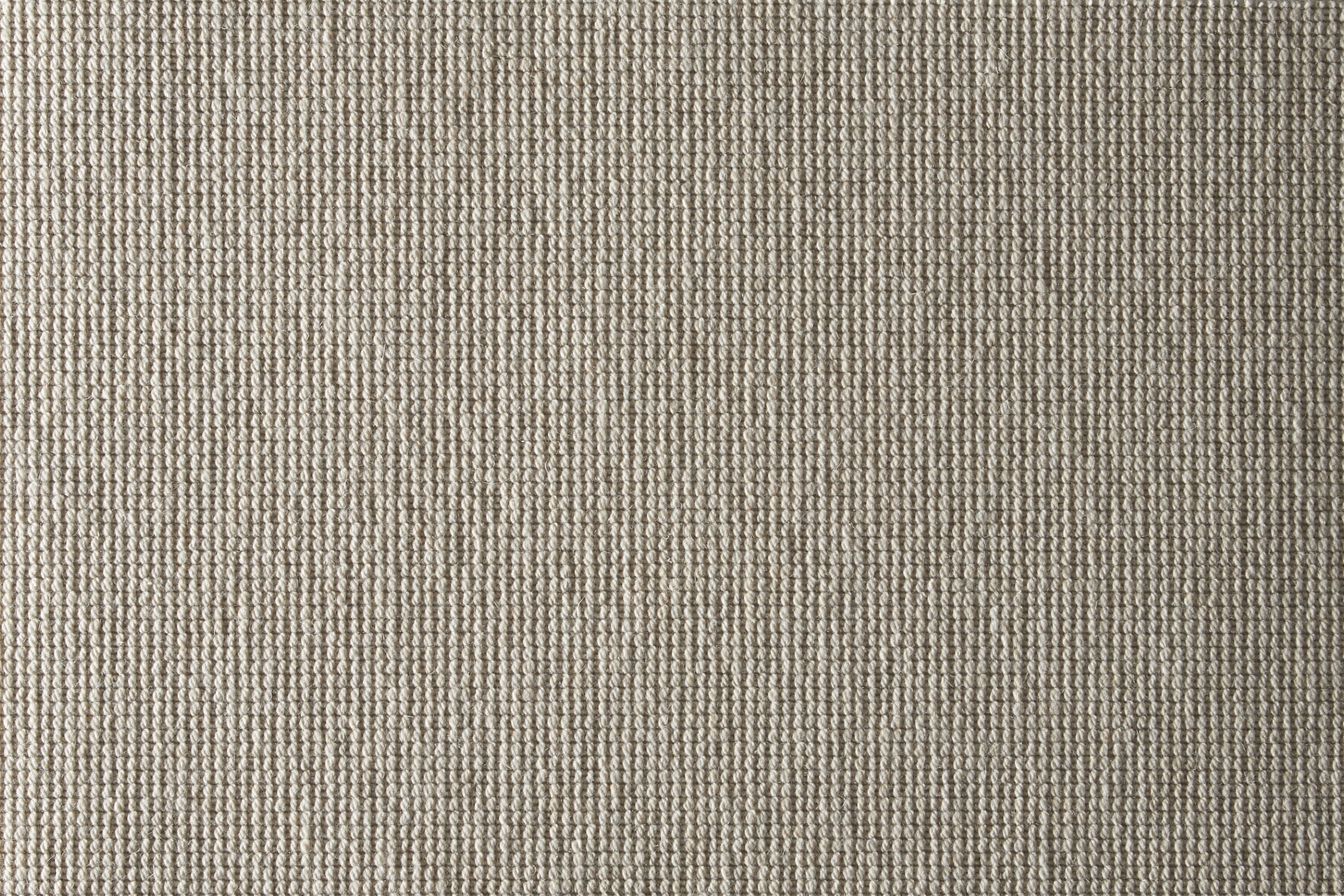color-rug1