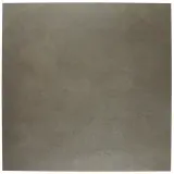 Notorious Leading Man 24×24 Field Tile Matte Rectified