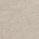 Theoretical Evolved Fundamental Gray 24×24 Field Tile Matte Rectified