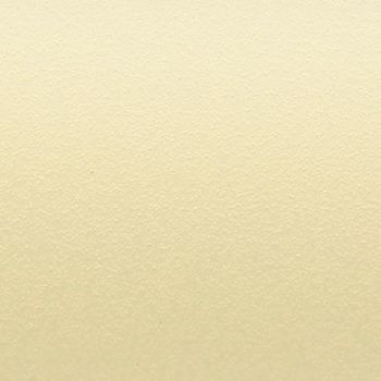 Textured pale gold wallpaper fills the frame; subtle granular sheen and fine stippled pattern; lying flat and uniformly lit, suggesting a neutral interior wall or decorative paper sample.