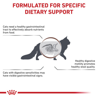 Gastrointestinal Fiber Response Dry Cat Food 