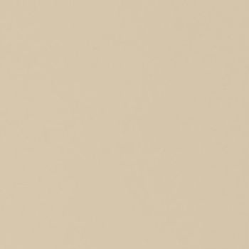 Plain beige surface fills the frame; evenly lit, showing subtle paper-like grain and no discernible features or surrounding context.