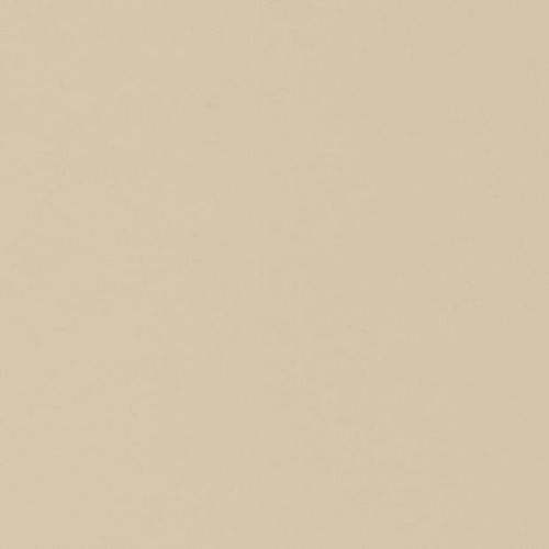 Plain beige surface fills the frame; evenly lit, showing subtle paper-like grain and no discernible features or surrounding context.