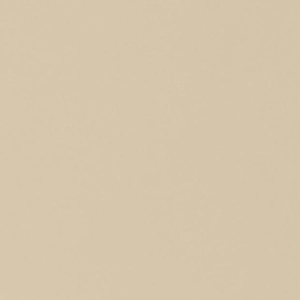 Plain beige surface fills the frame; evenly lit, showing subtle paper-like grain and no discernible features or surrounding context.