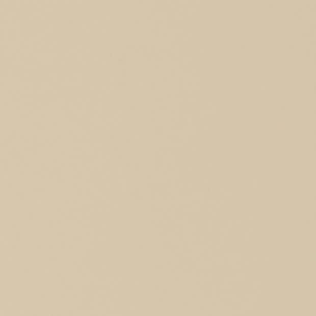 Plain beige surface fills the frame; evenly lit, showing subtle paper-like grain and no discernible features or surrounding context.