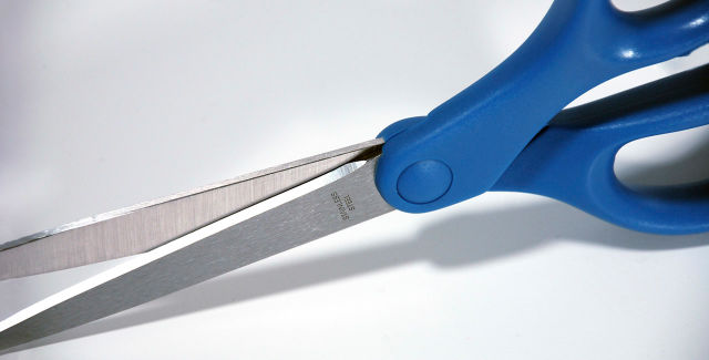Available in 5", 6", and 8" sizes, Dahle Vantage® scissors are guaranteed to produce a clean cut every time.