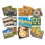 Yellow Door Honey Bee Early Number Cards, Set of 16 YUS1095