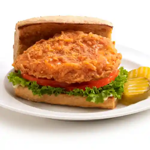 Tyson Red Label® NAE Frozen Uncooked Select Cut Hot 'N Spicy Breaded Chicken Breast Filets, 4 oz_image_01