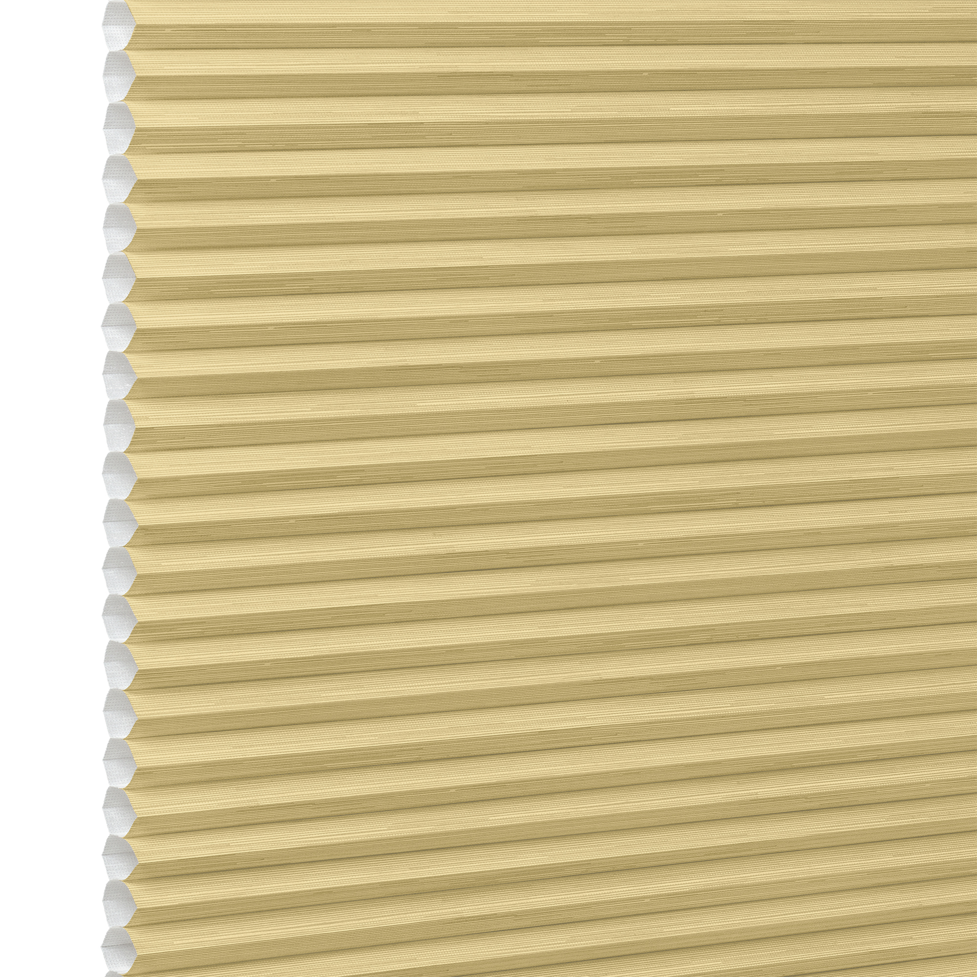 Duette PinStripe Olive Honeycomb blind