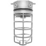 Vaporproof Ceiling Fixture Box Mount Die-Cast Aluminum 120V Natural Finish