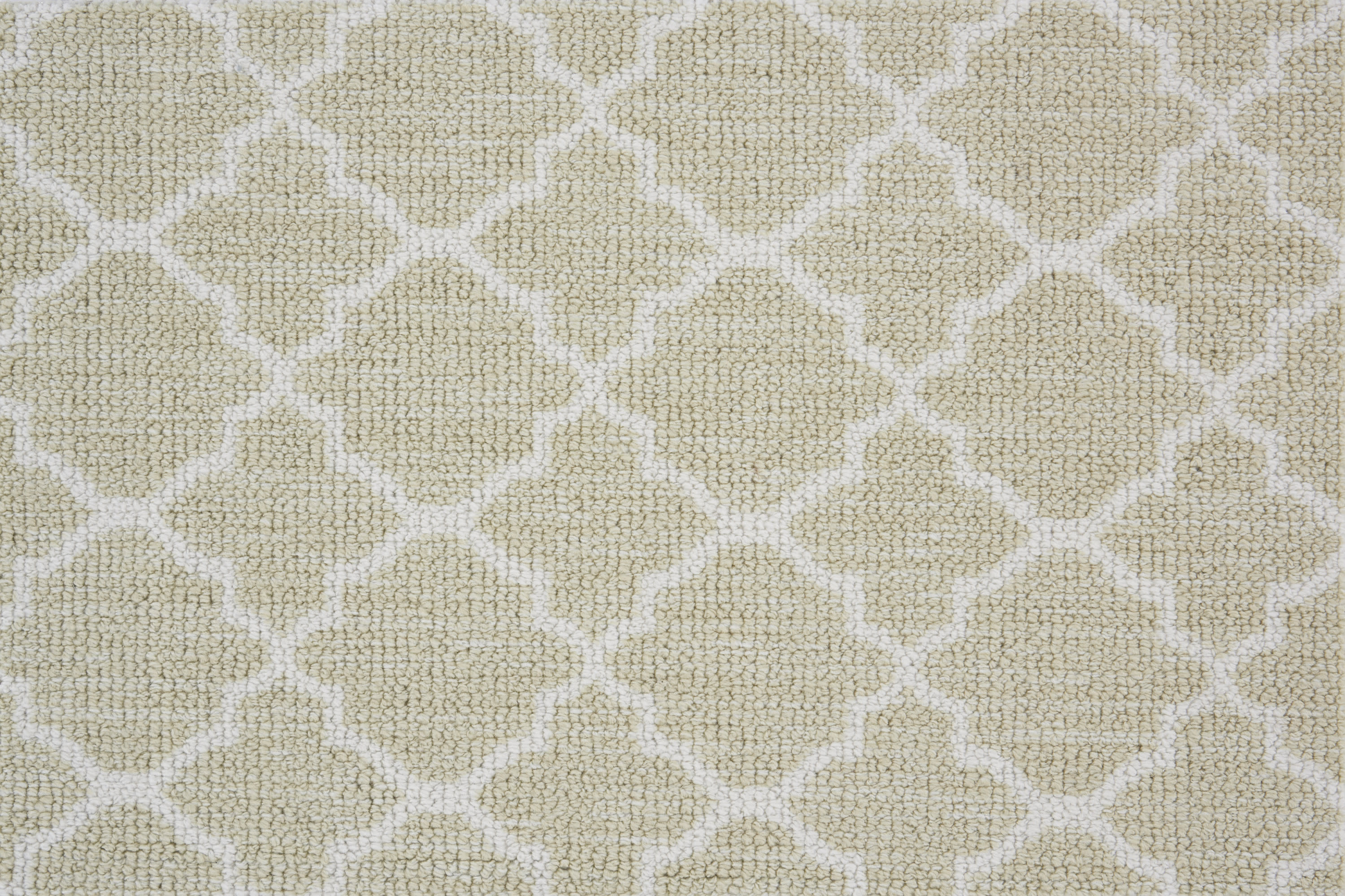 color-rug1
