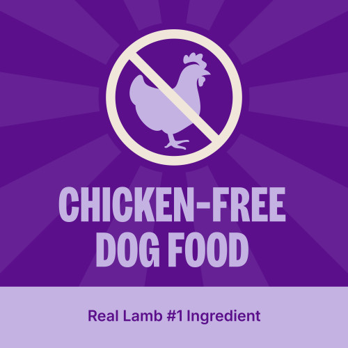Wellness CORE Grain Free Lamb marketing callout