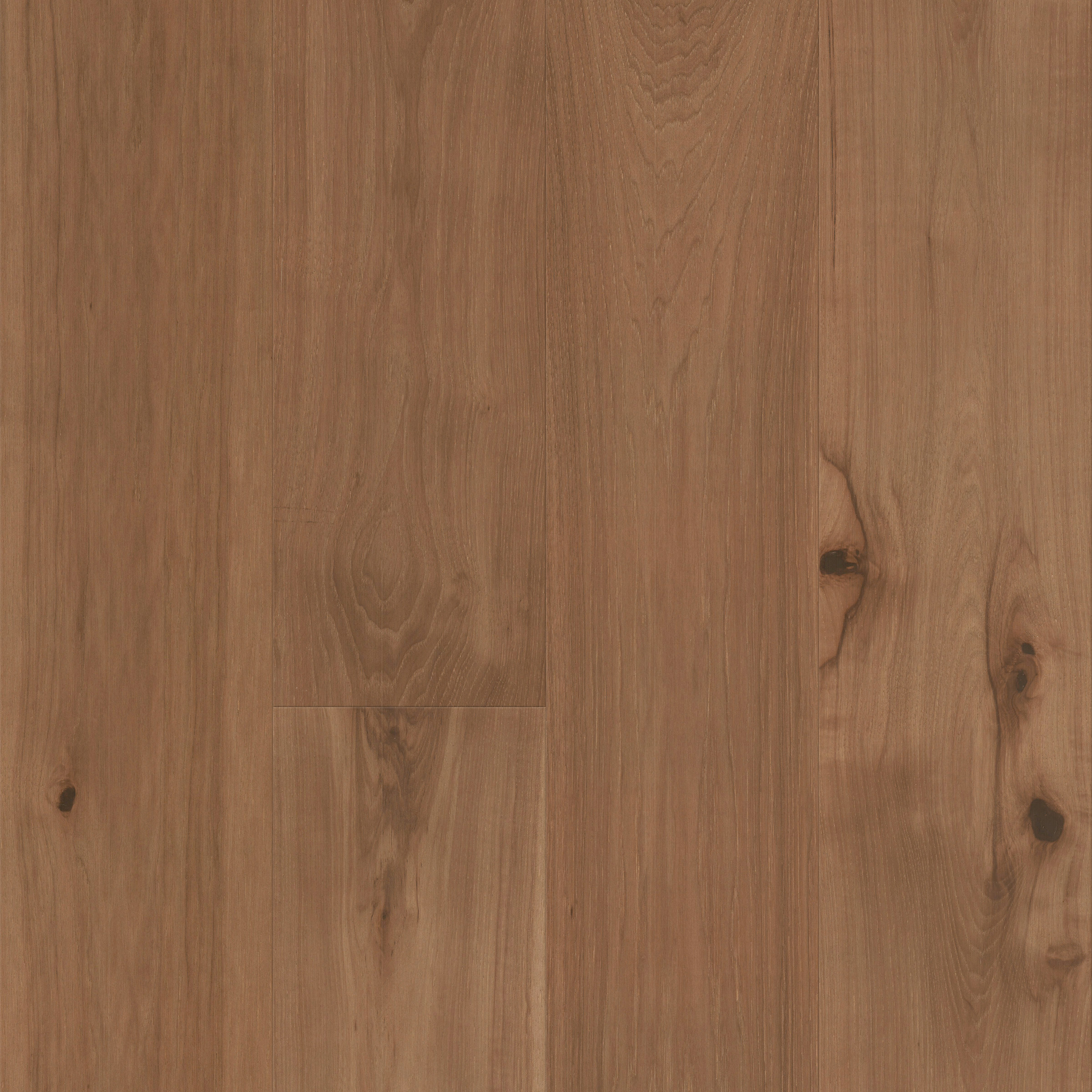 Cured Hickory Varietals Threshold view 3