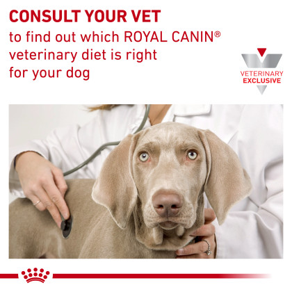 Gastrointestinal Canine Treats