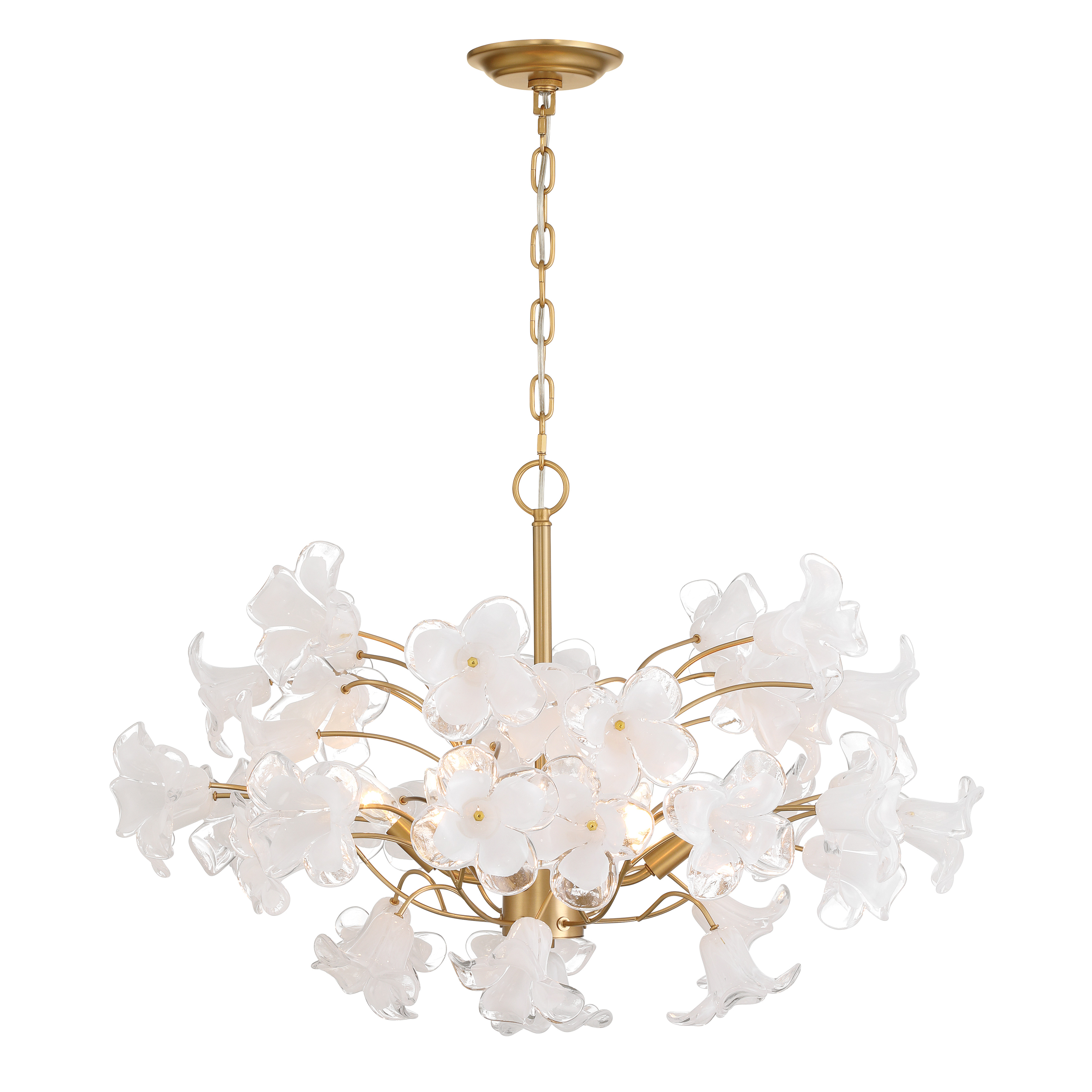 The Bloome chandelier combines warm Legacy Brass finish with handmade glass shades for sophisticated ambiance. At 29 inches wide, it's perfectly sized for medium dining rooms and entryways, offering dimmable lighting control. - alternate view