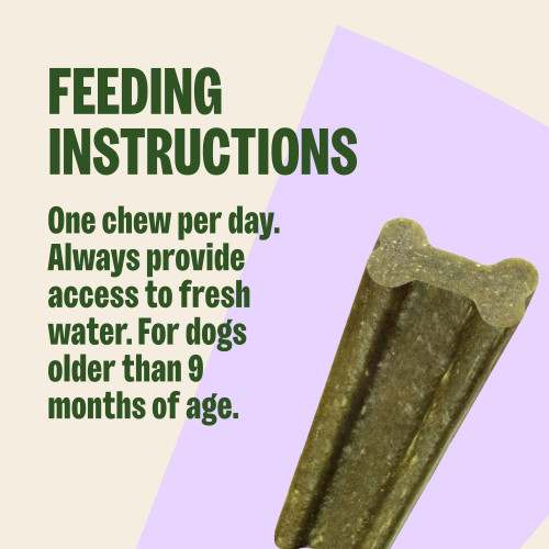 One chew per day. Always provide access to fresh water. For dogs older than 9 months of age.