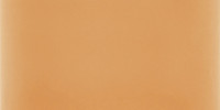 Vivid Apricot 3×6 Field Tile Glossy