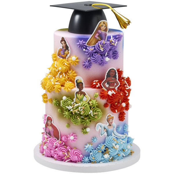 Disney Princess Assortment Poly DecoPics®