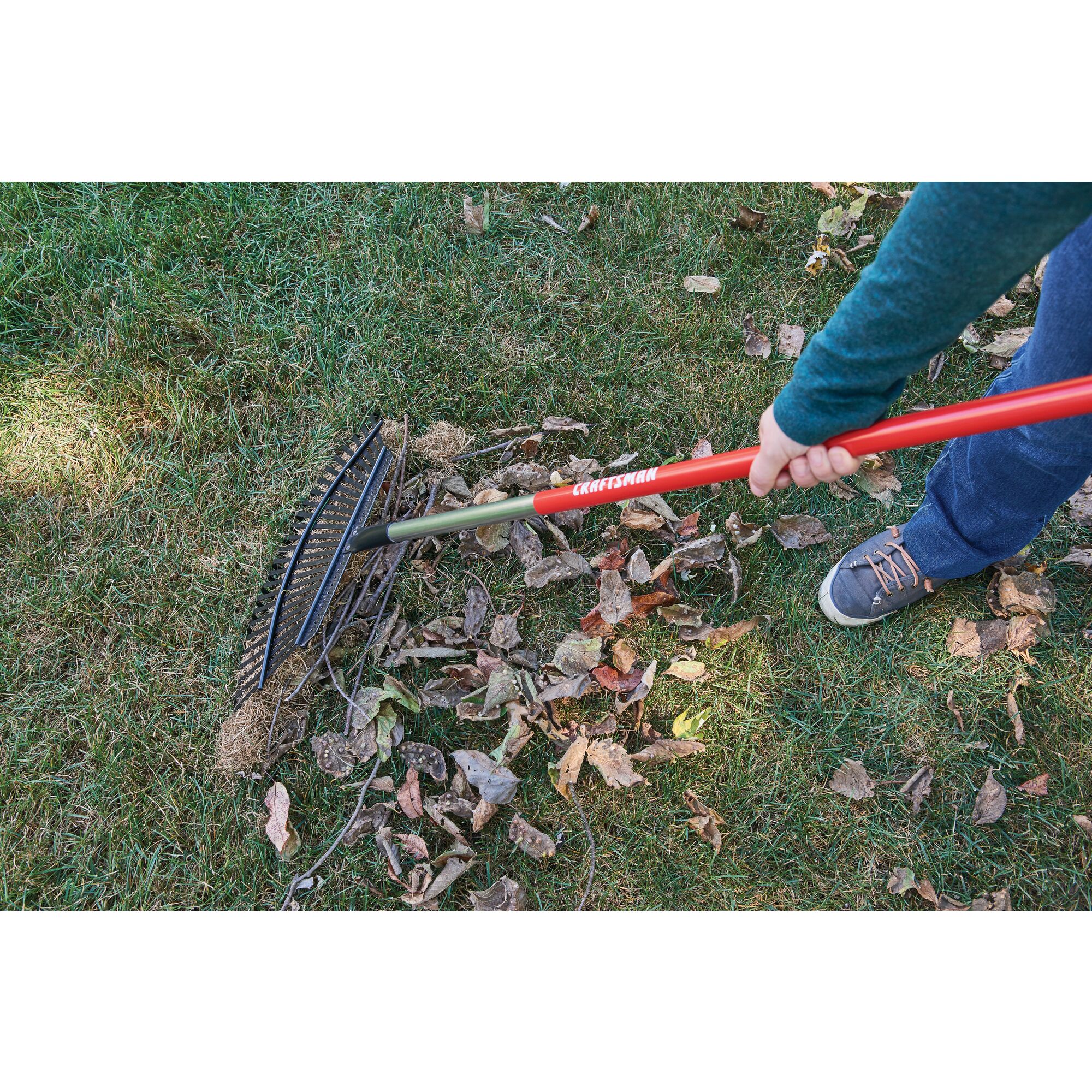 25 tine aluminum handle lawn rake being used to rake leaves from the ground.